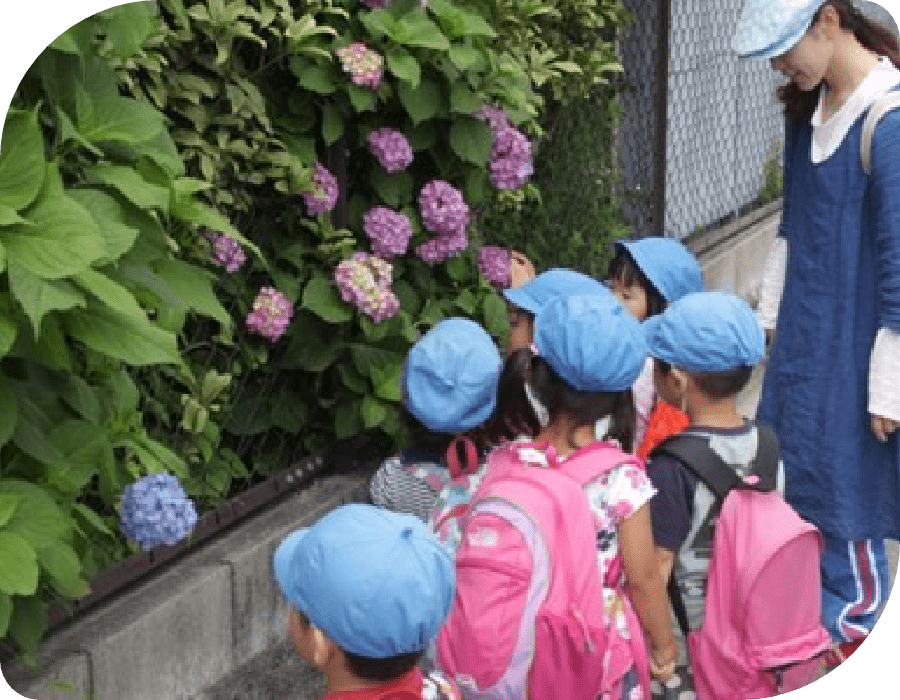 画像：くすの木保育園